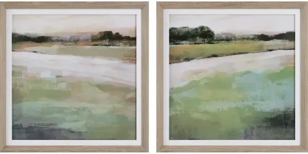 Vivid Vista Framed Prints, Set/2