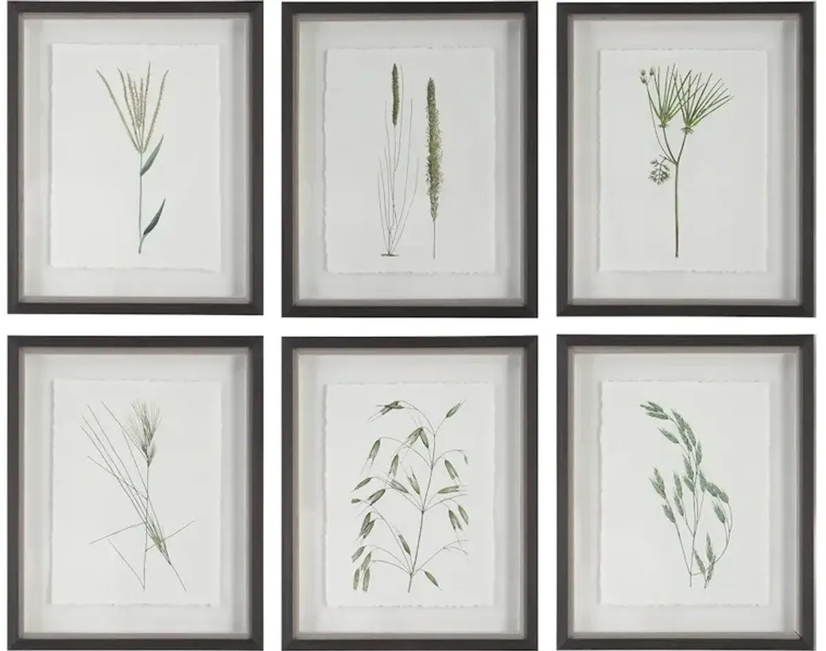 Forest Finds Framed Prints Set/6
