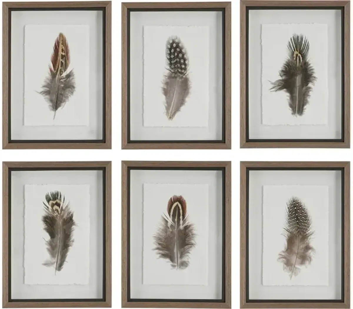Birds Of A Feather Framed Prints Set/6