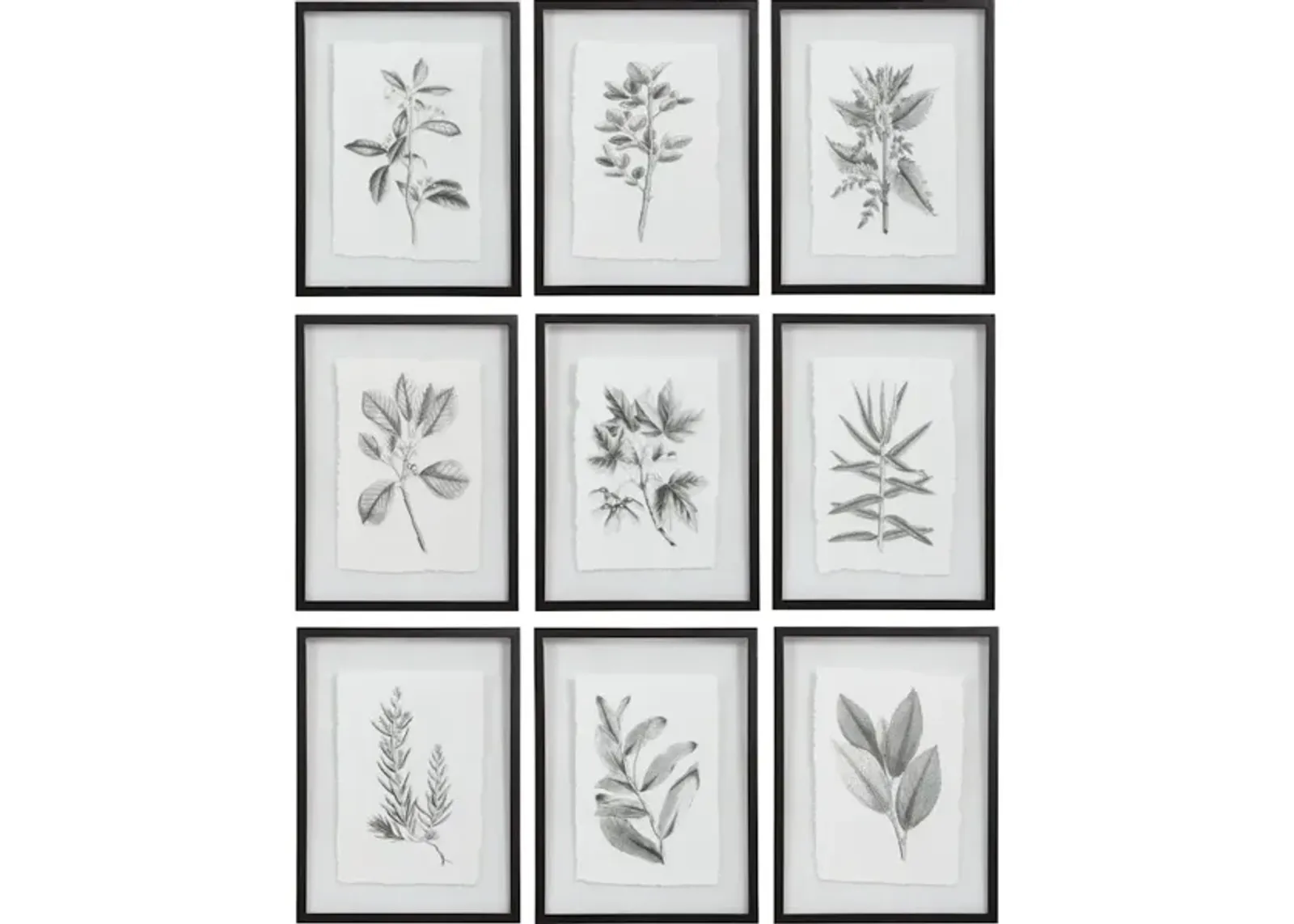 Farmhouse Florals Framed Prints, S/9