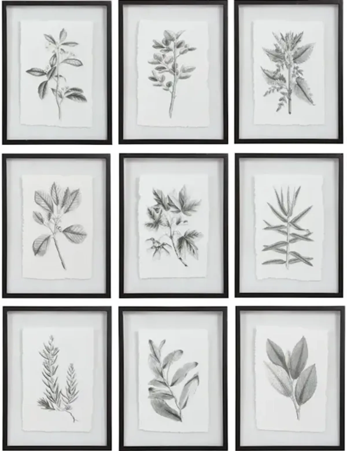 Farmhouse Florals Framed Prints, S/9