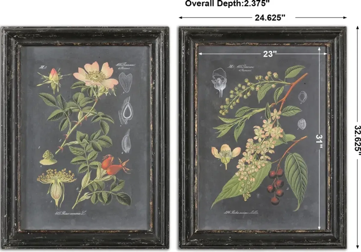 Midnight Botanicals Wall Art Set/2