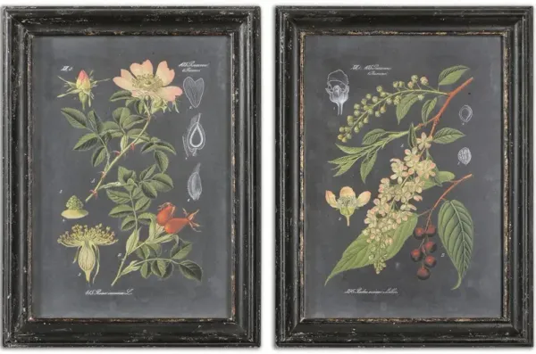 Midnight Botanicals Wall Art Set/2