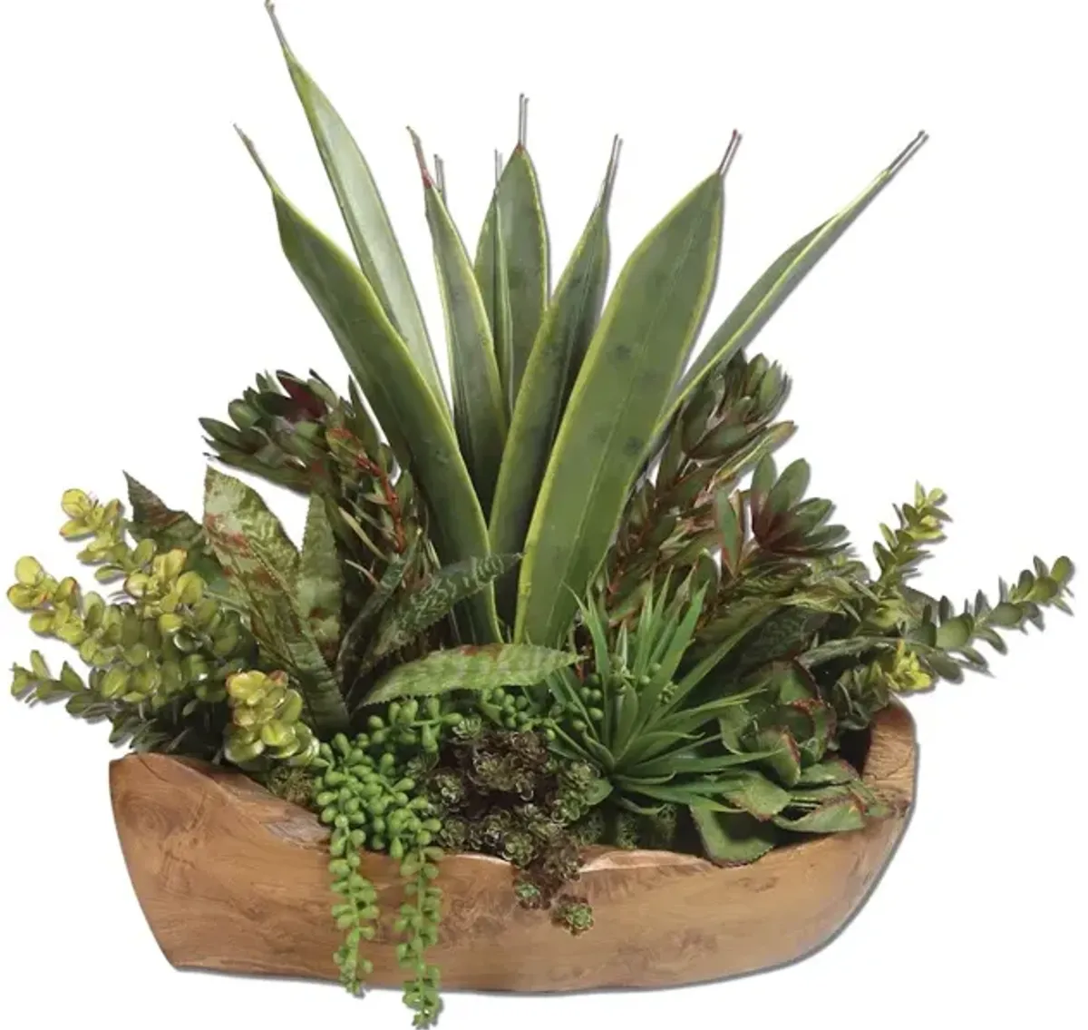 Salar Succulents In Teak Bowl