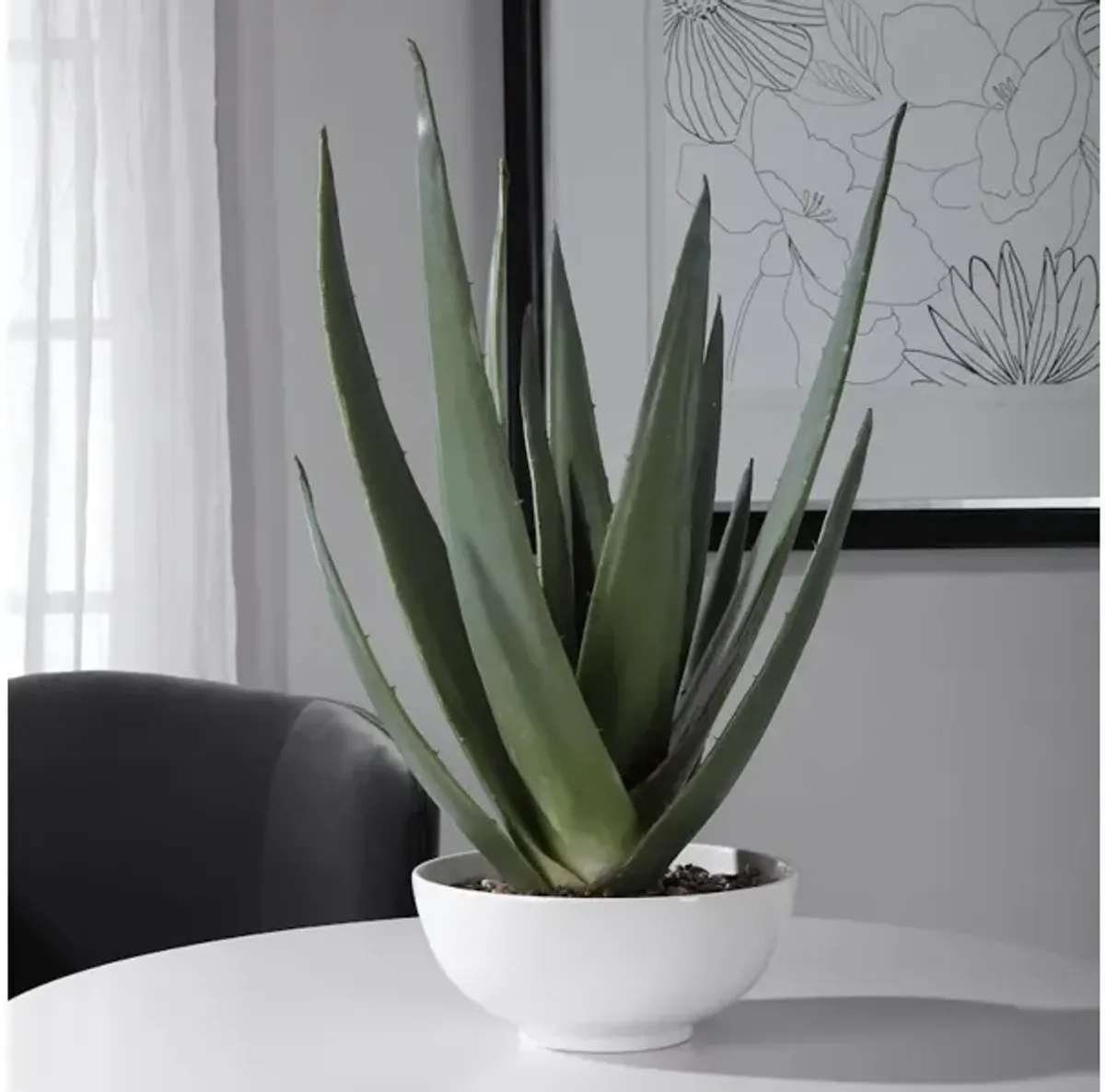 Evarado Aloe Planter