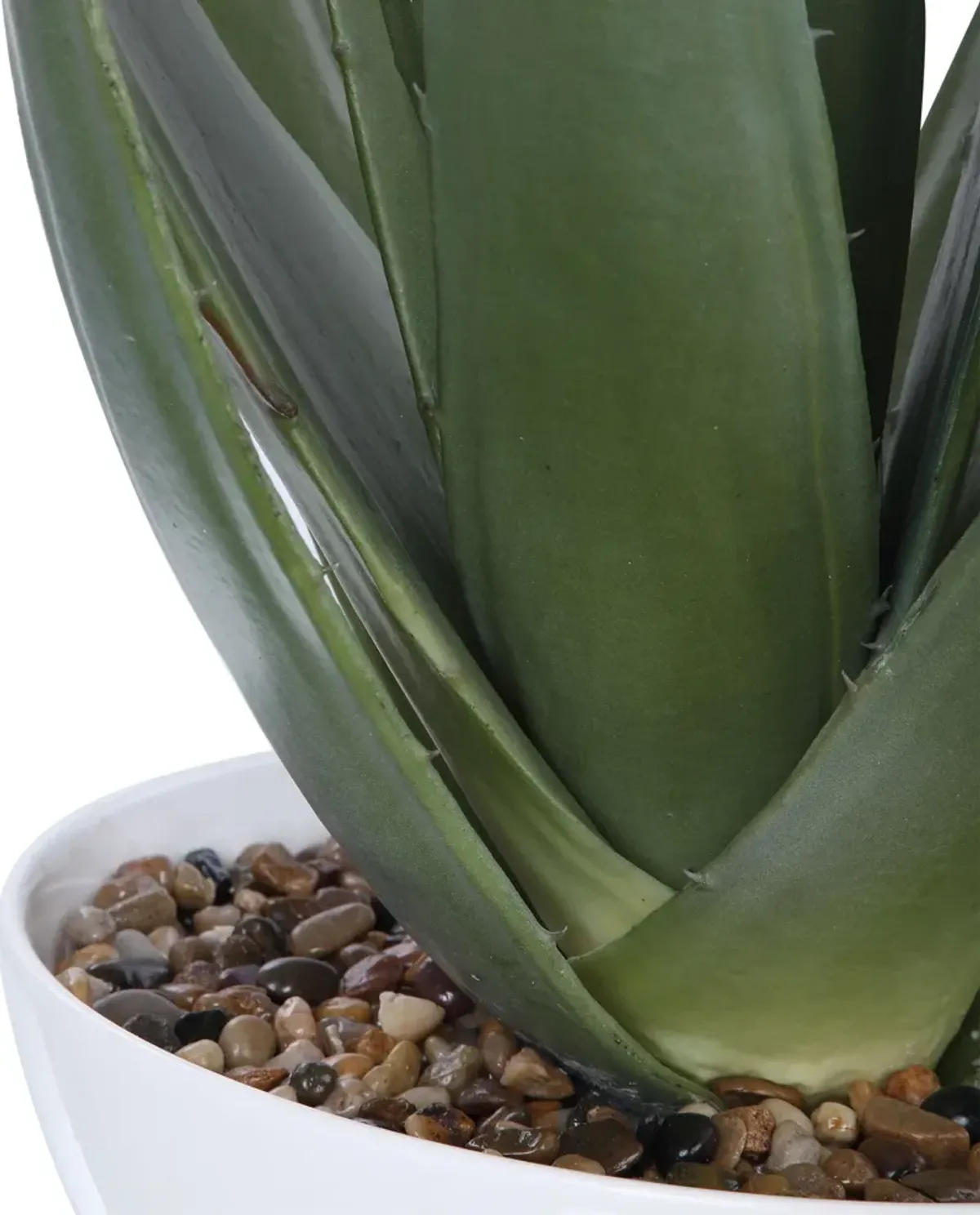 Evarado Aloe Planter