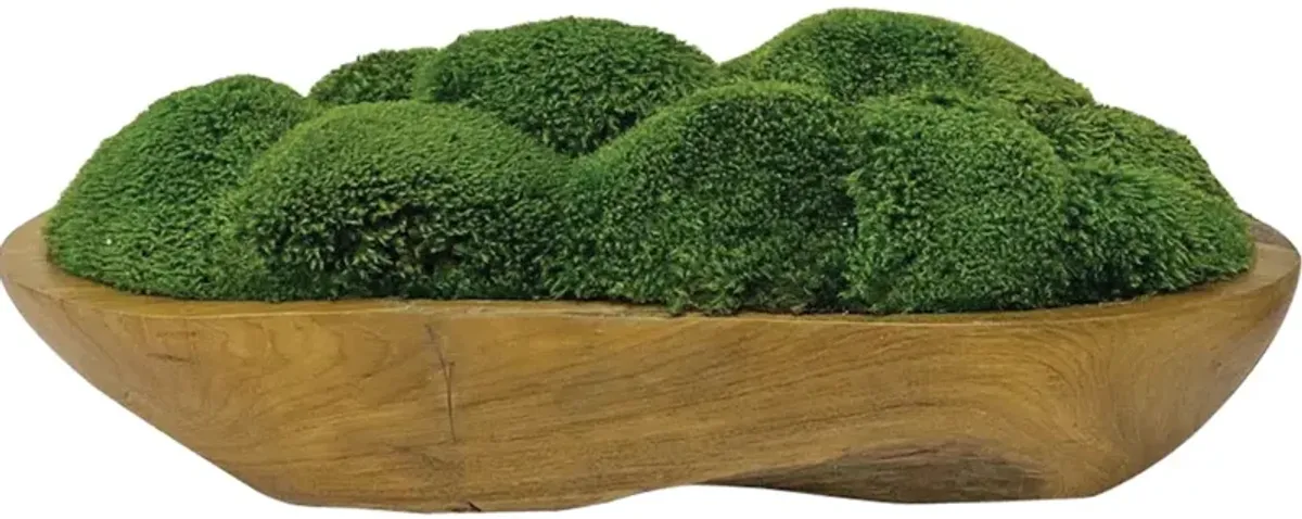 Kinsale Moss Centerpiece
