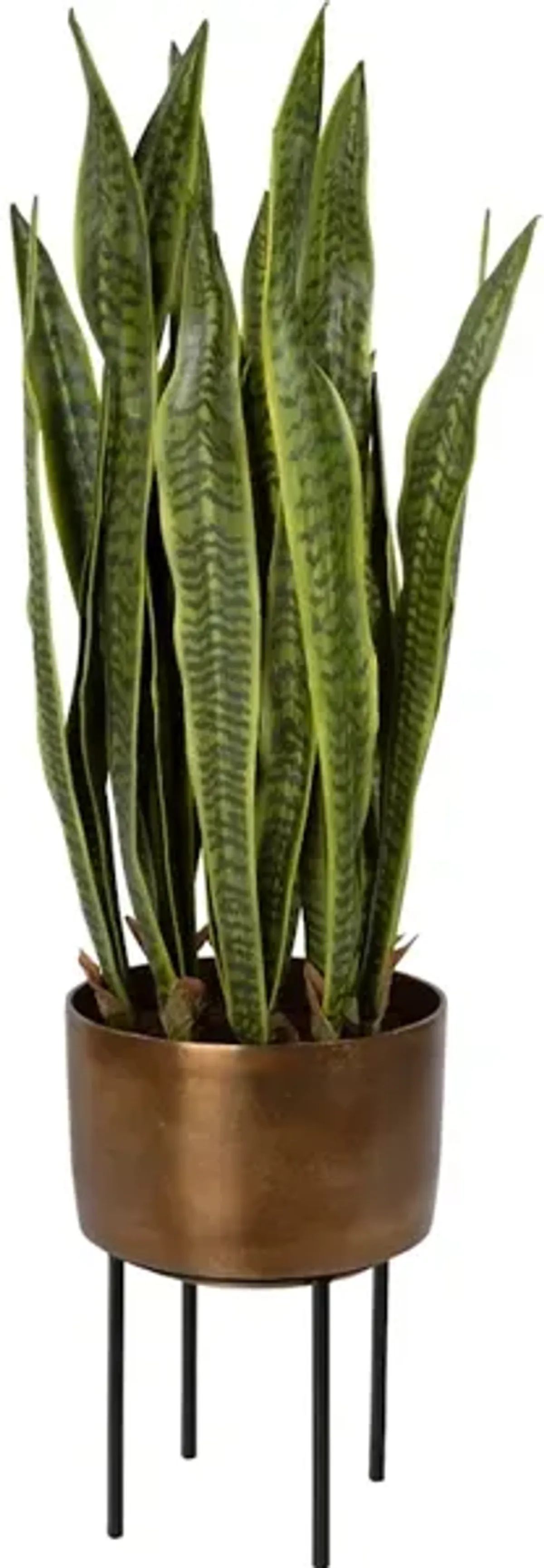 Fasita Brass Planter 2 Cartons