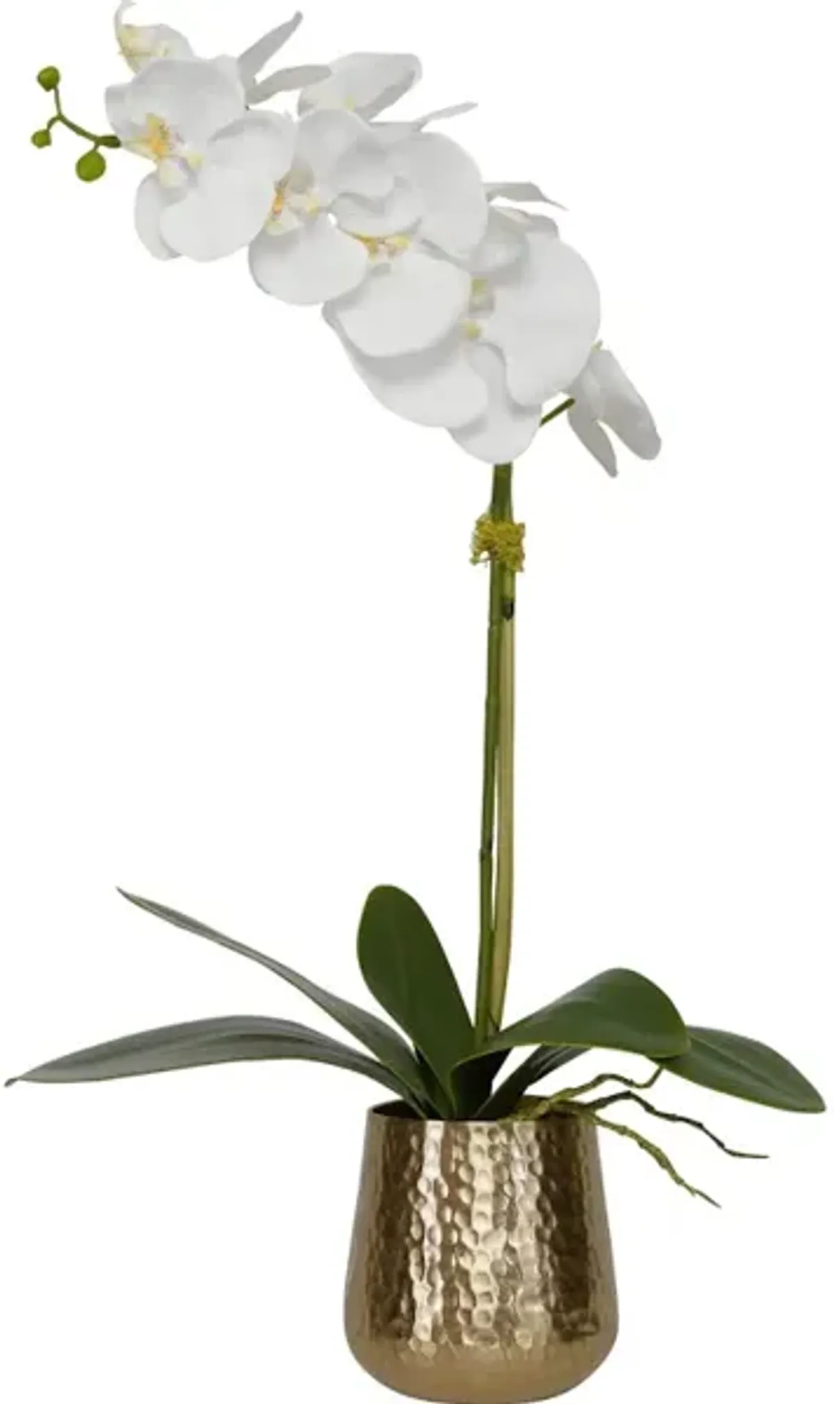 Cami Orchid With Brass Pot