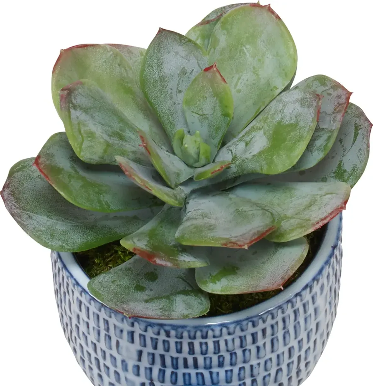 Puebla Greenery In Blue and White Pots Set/3