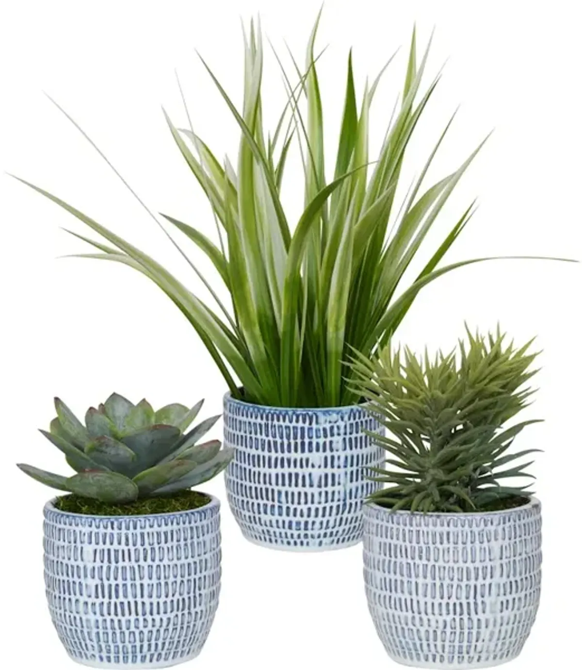 Puebla Greenery In Blue and White Pots, S/3