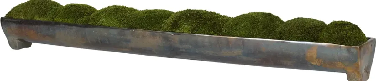 Canal Moss Centerpiece