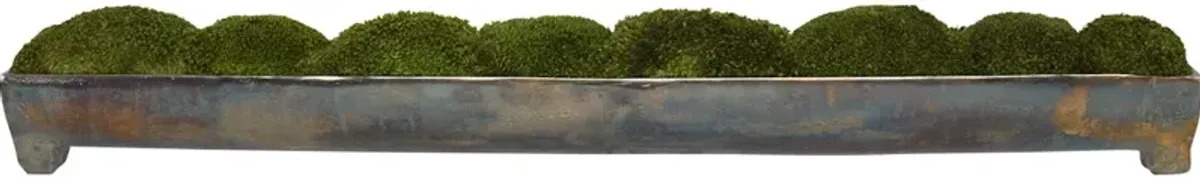 Canal Moss Centerpiece