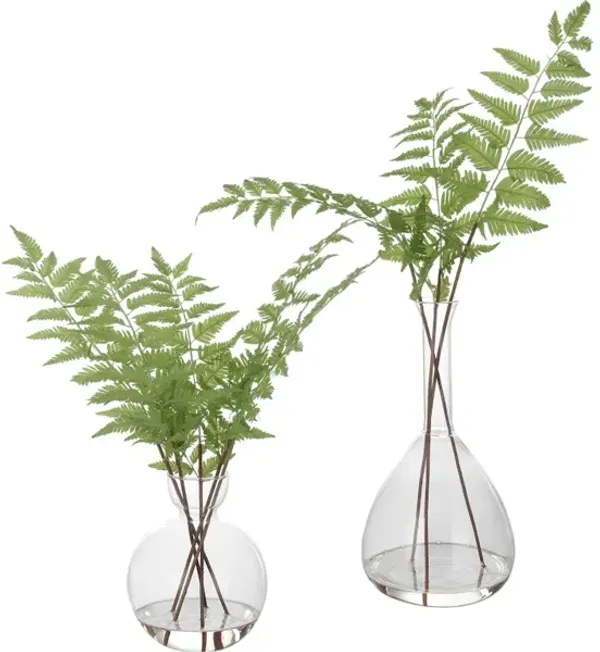 Country Ferns Set/2