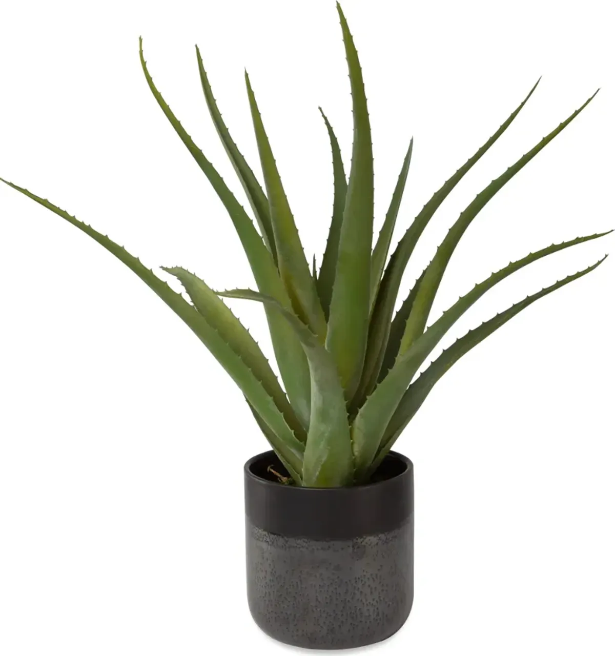 Tucson Aloe Planter