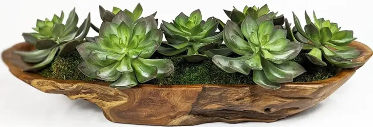 Yuma Succulent Centerpiece