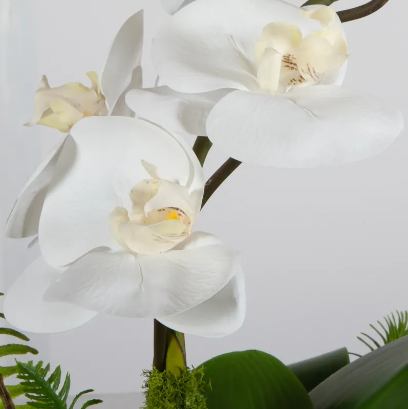 Transcend Orchid Centerpiece