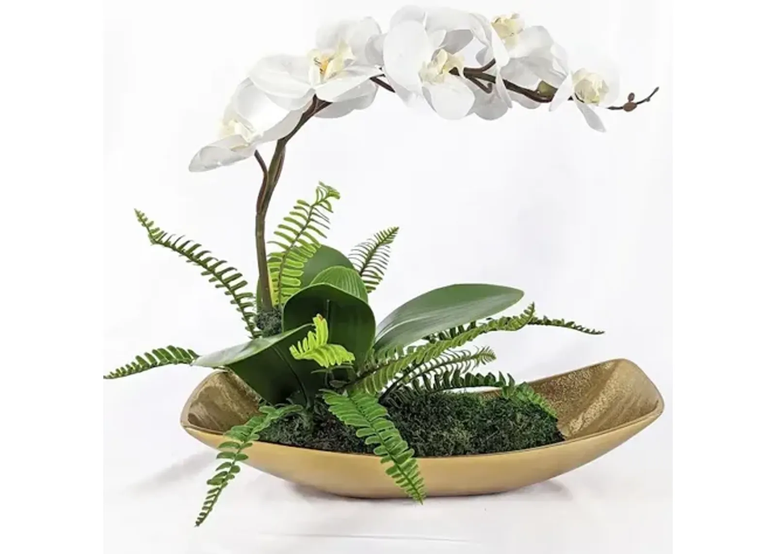 Transcend Orchid Centerpiece