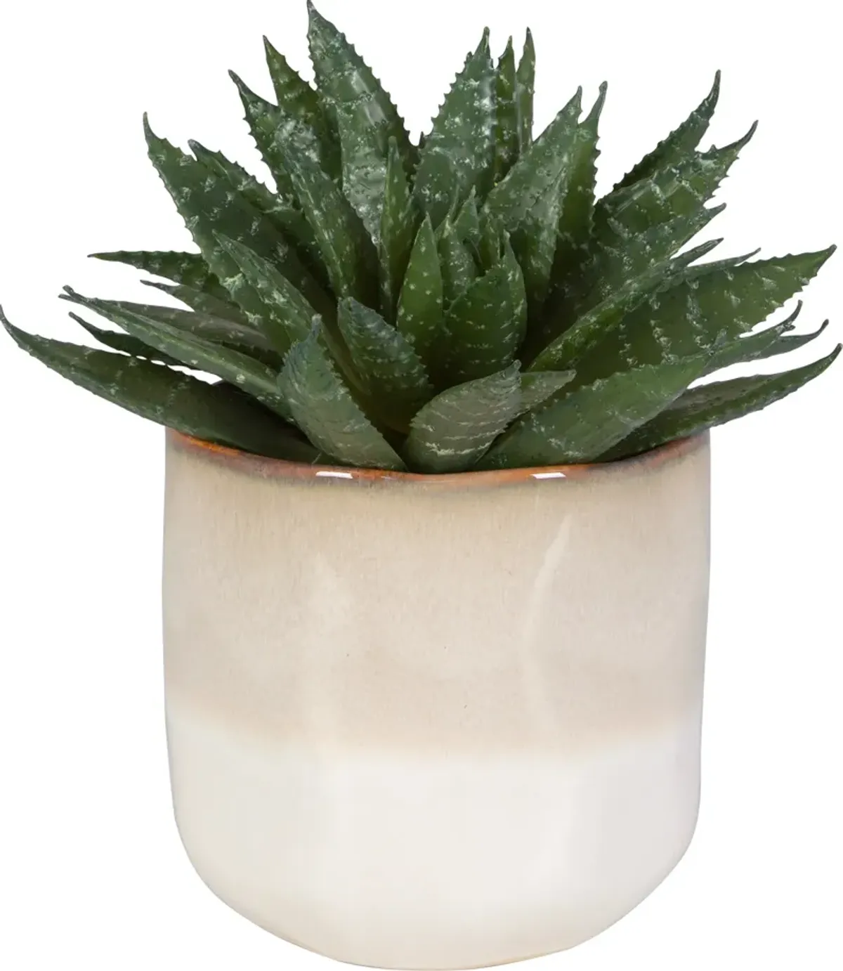 Doha Succulent Accent