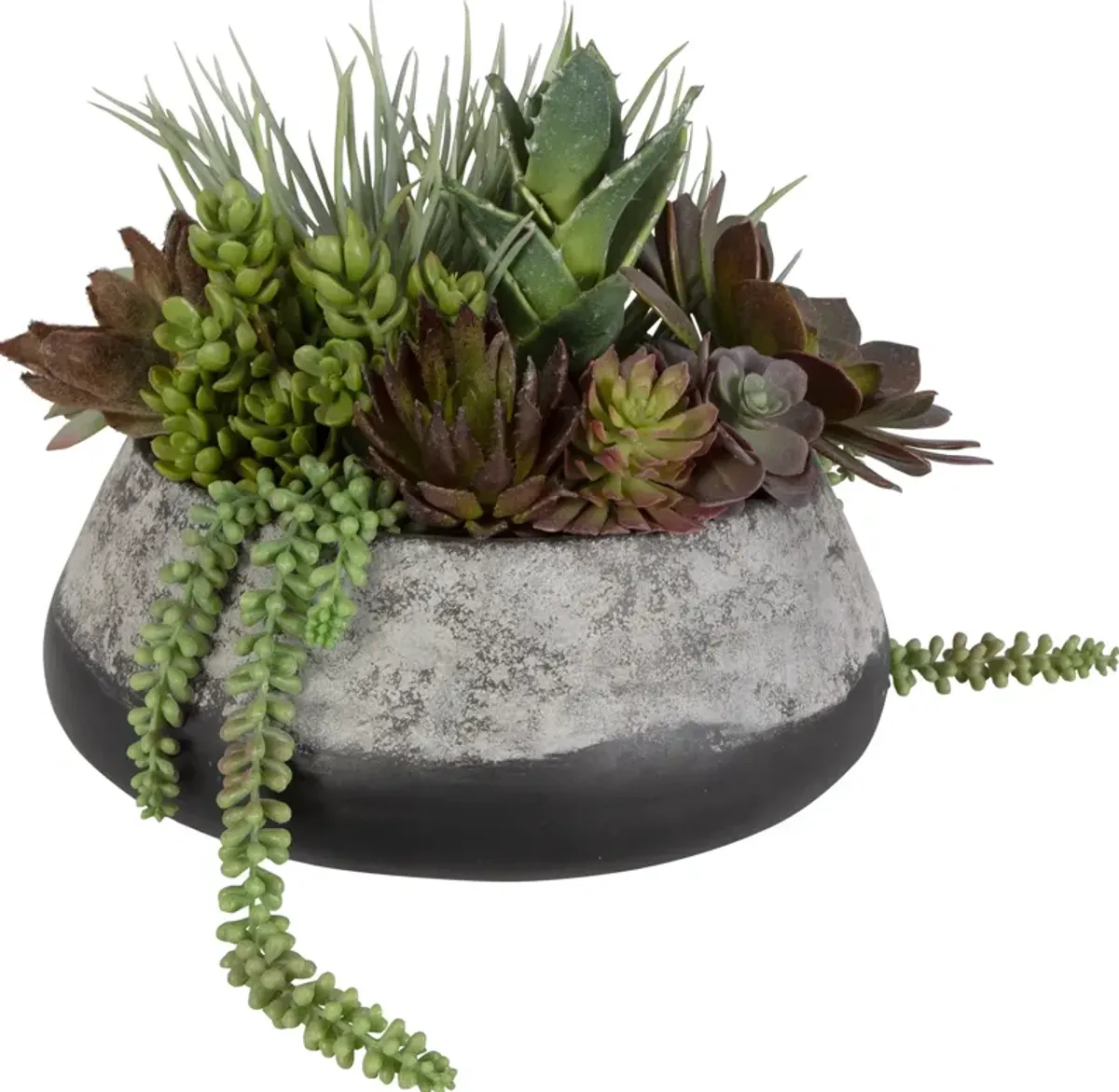 Yuma Succulent Centerpiece