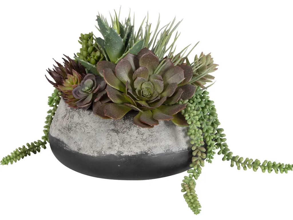 Yuma Succulent Centerpiece