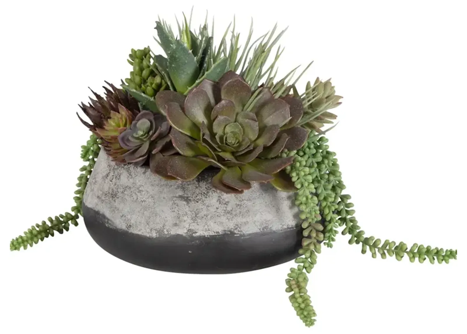 Yuma Succulent Centerpiece