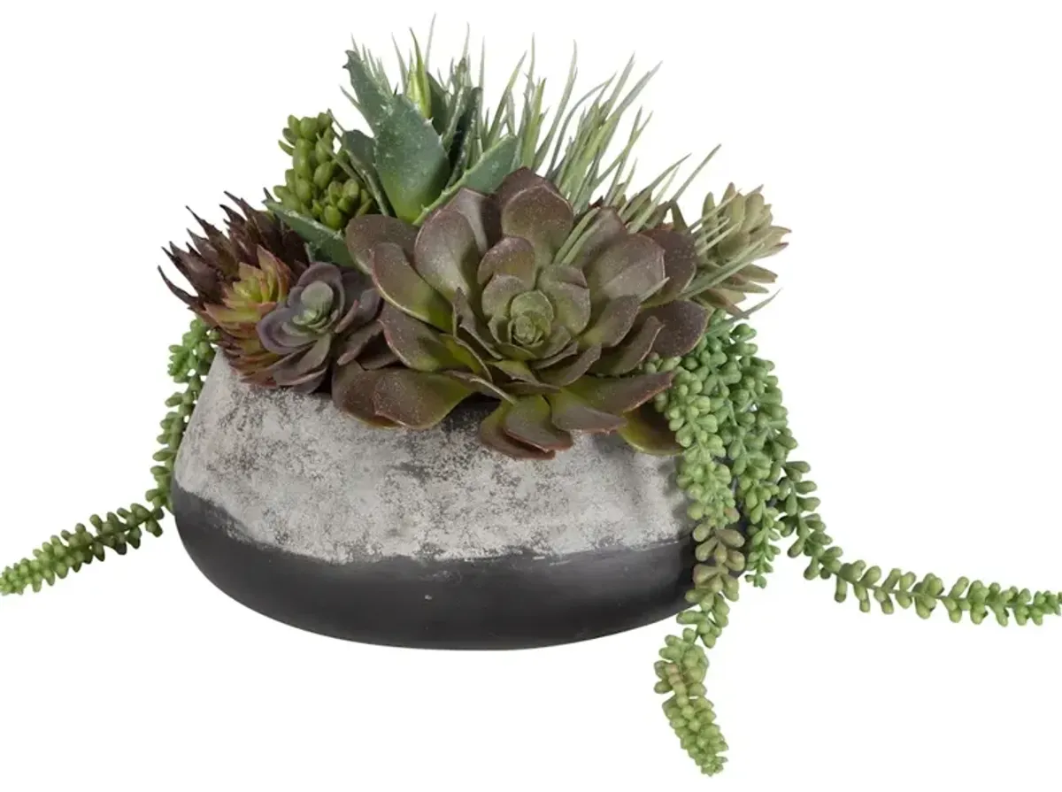 Yuma Succulent Centerpiece