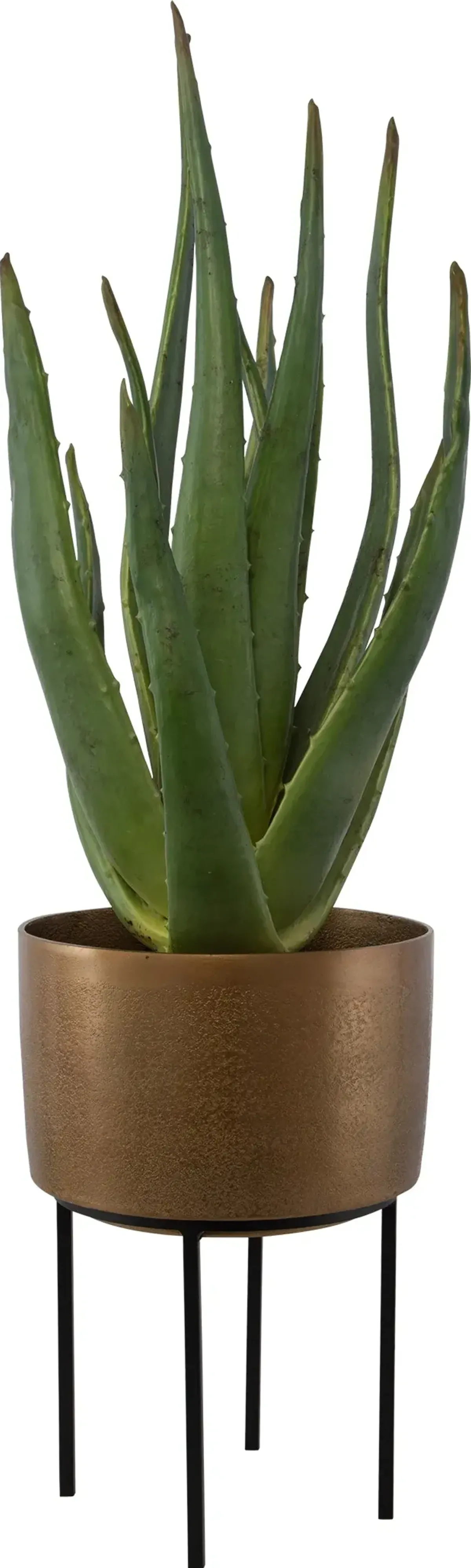 Arabia Aloe Planter