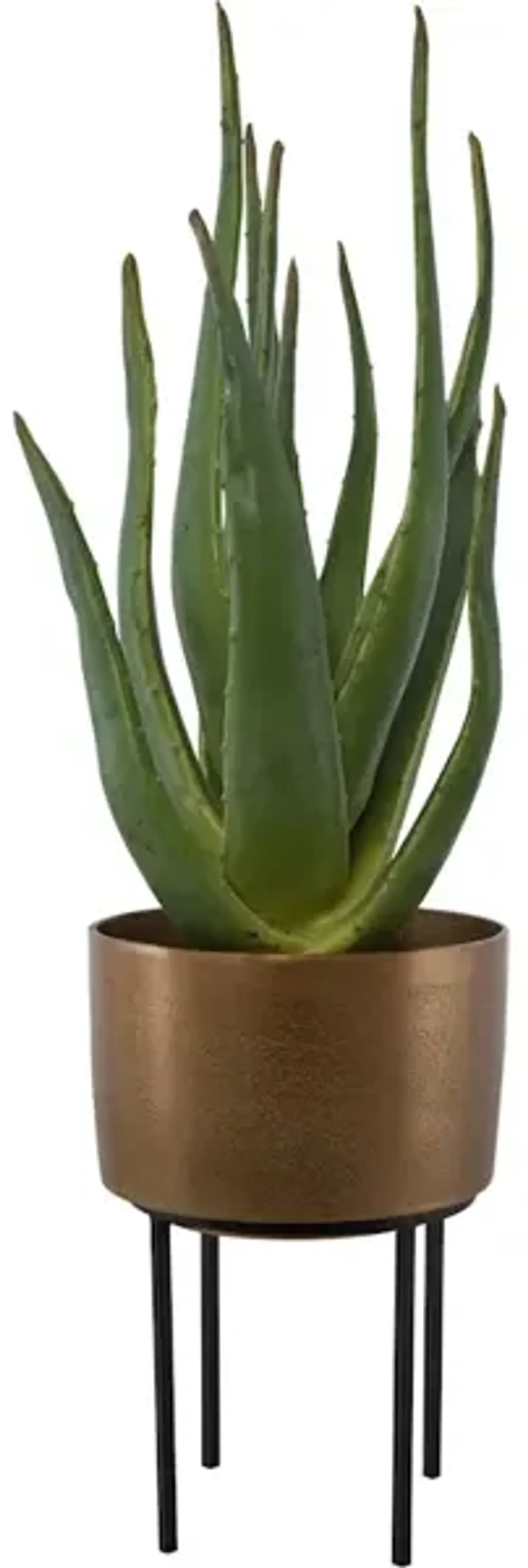 Arabia Aloe Planter