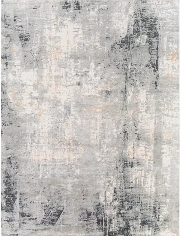 Paoli Gray Abstract 9 X 12 Rug