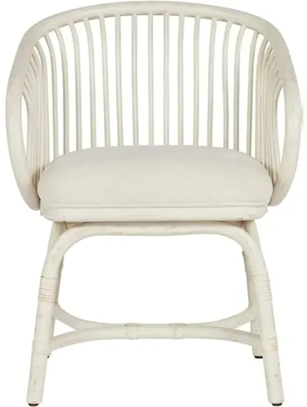 Aruba Rattan Chair