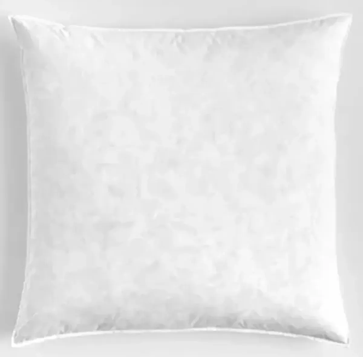 Euro Sham Insert 28"