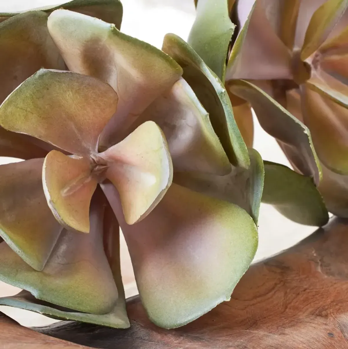 Faux Echeveria Succulent Pick - Set of 3