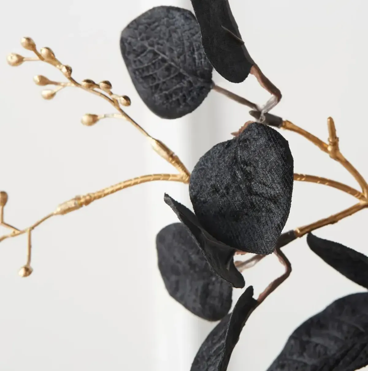 Eucalyptus Spray - Set of 3