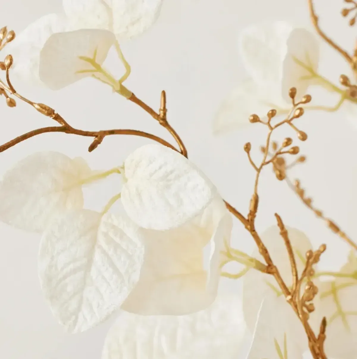 Eucalyptus Spray - Set of 3