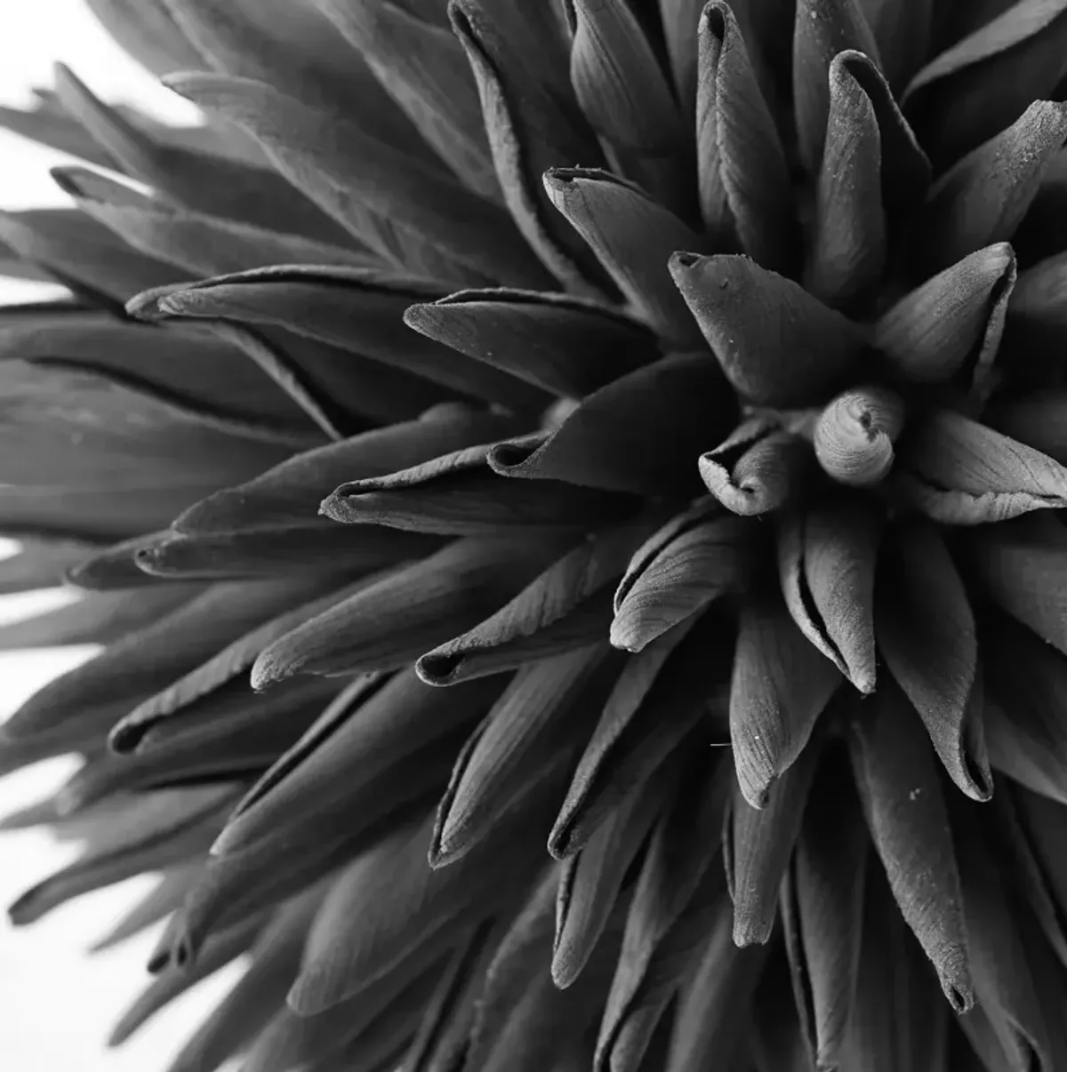 Faux Allium Sphere - Set of 3