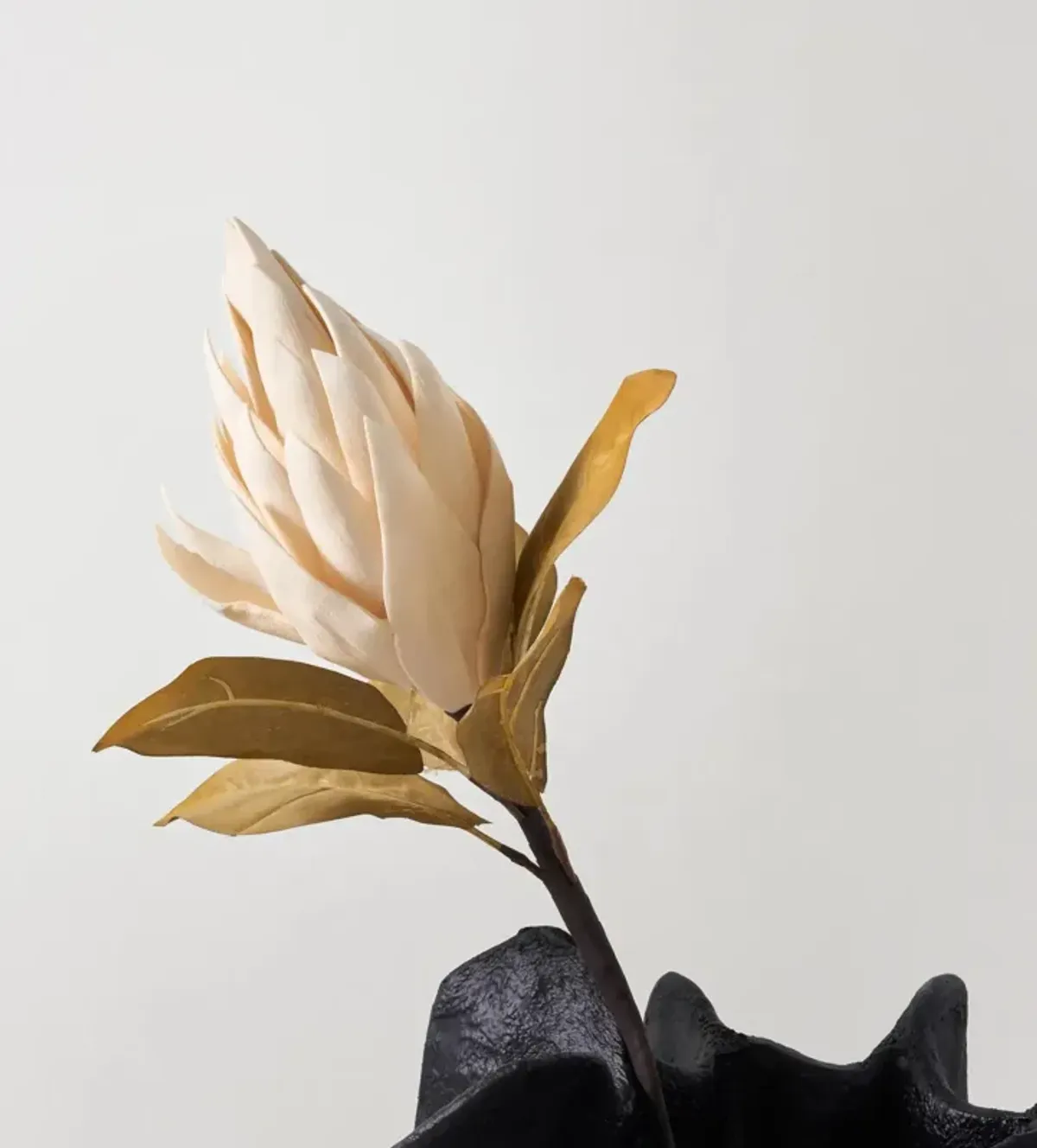 Protea Stem Cream 33" - Set of 3