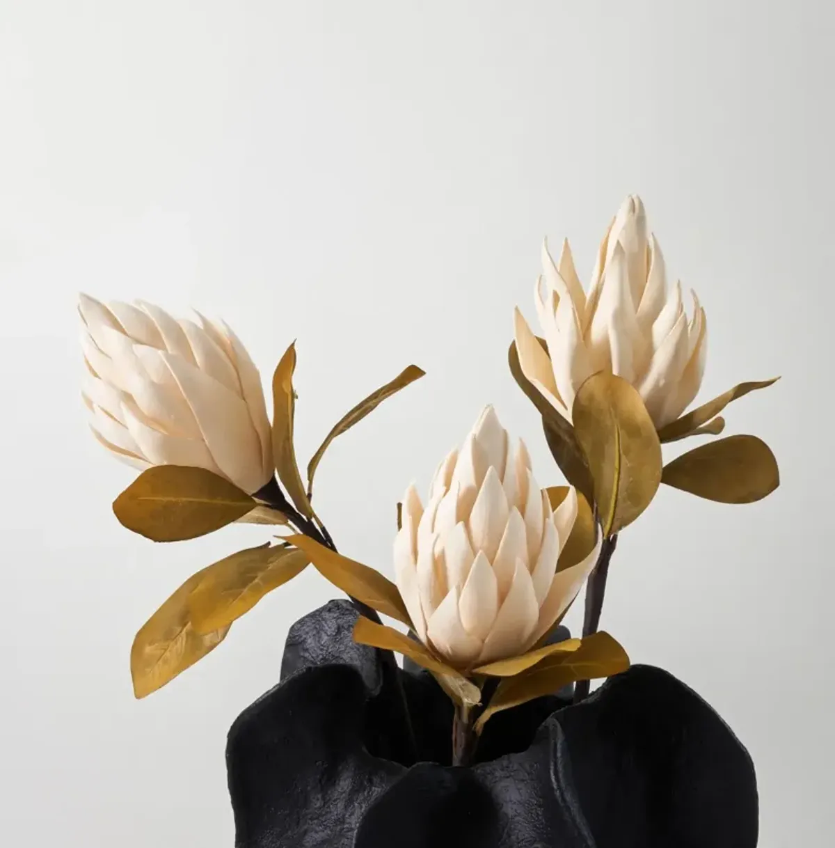 Protea Stem Cream 33" - Set of 3
