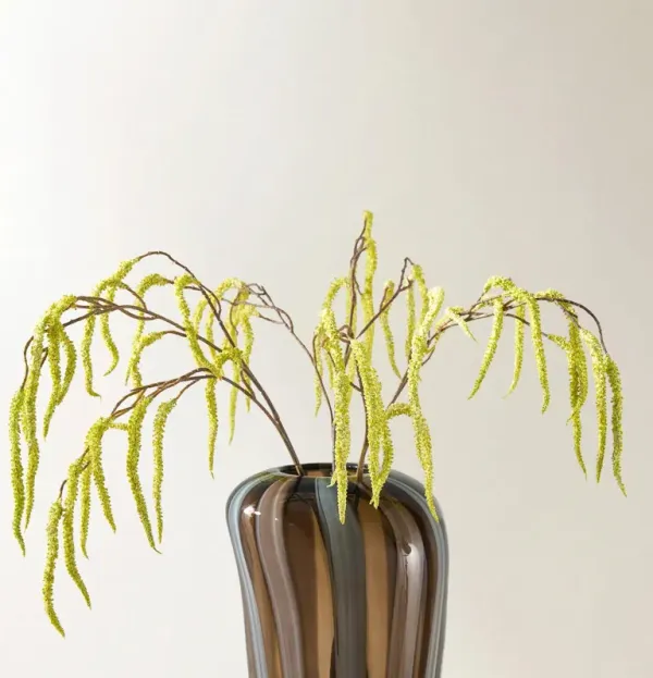 Citron Yellow Amaranthus 30" - Set of 3