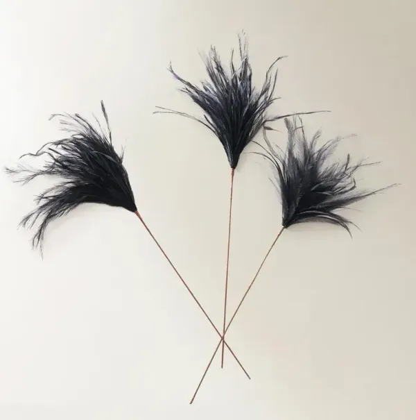 Black Feather Pick 23.5" - Set of 3