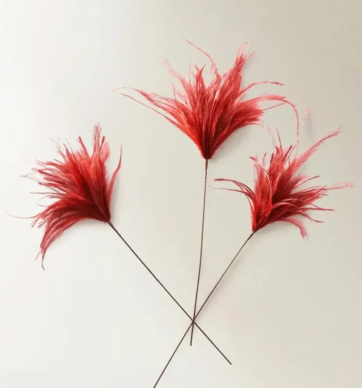 Red Feather Pick 23.5" - Set of 3