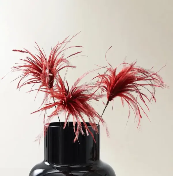 Red Feather Pick 23.5" - Set of 3