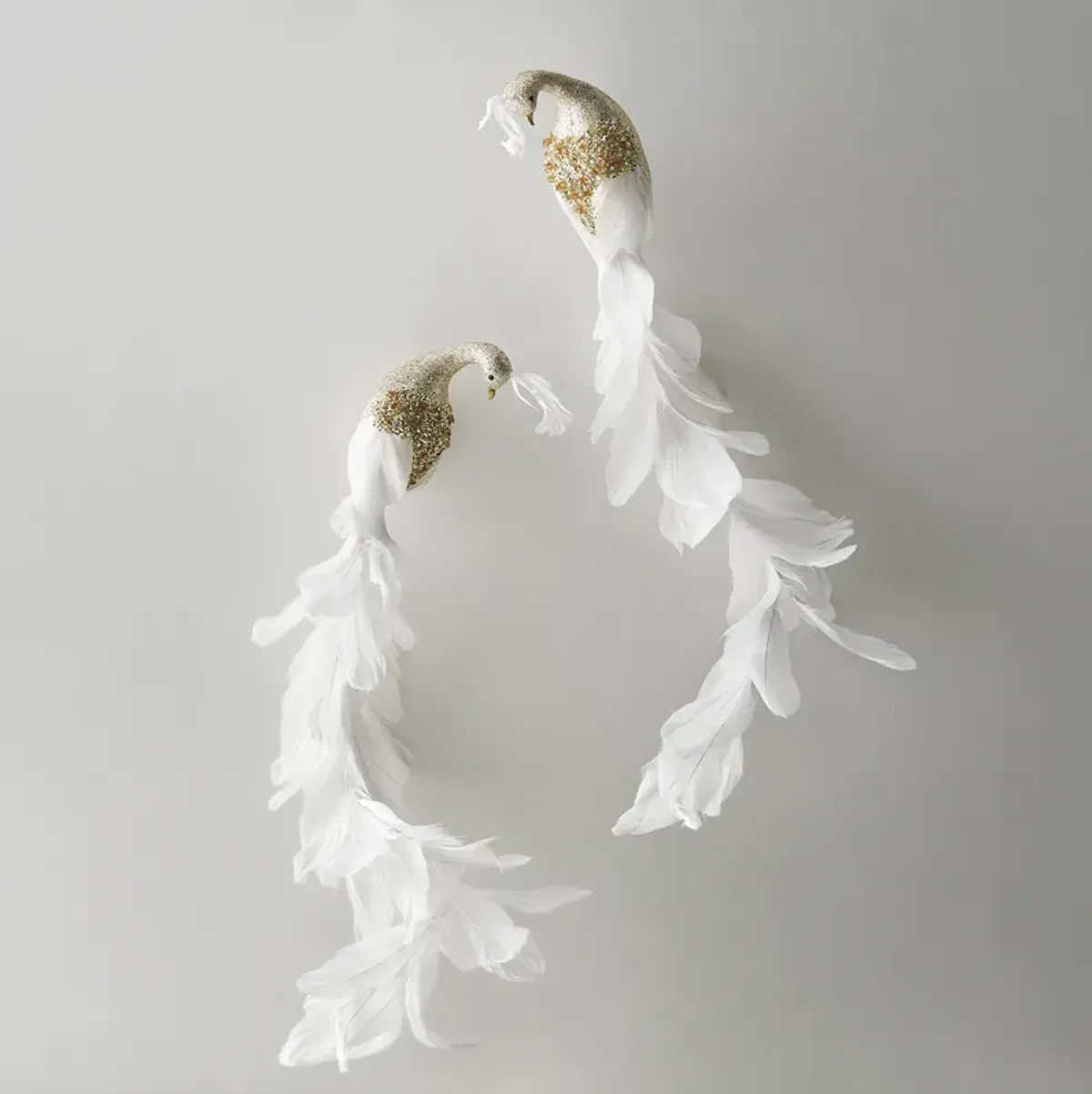 Feathered Peacock Clip - Set of 2