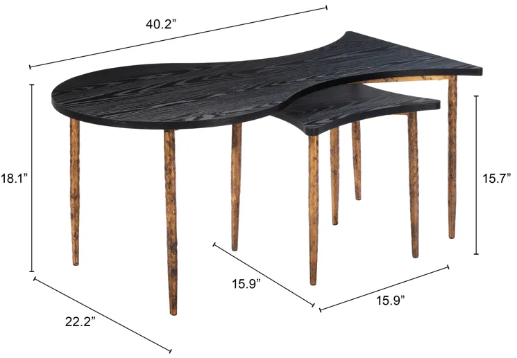 Norden Coffee Table Set (2-Piece) Black & Bronze